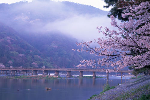 wwt_home_image_japan